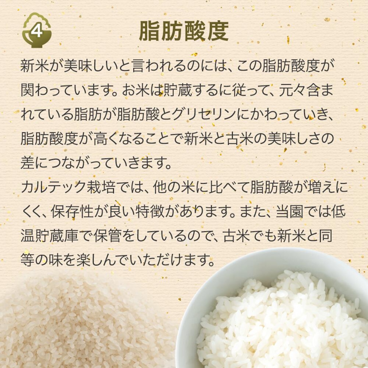 ※業販価格※丹波産コシヒカリ 25kg 令和7年産 京都のおいしいお米コンテスト受賞米「西村ファームの京ほたる米」