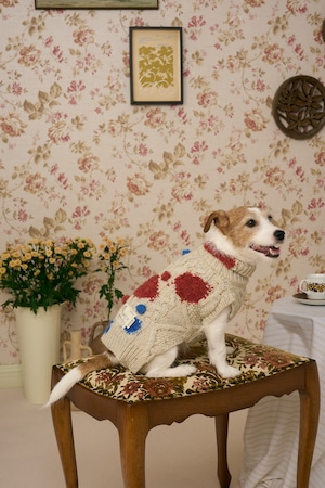 Multi Lab 2025FW水玉セーターM〖 即納 〗