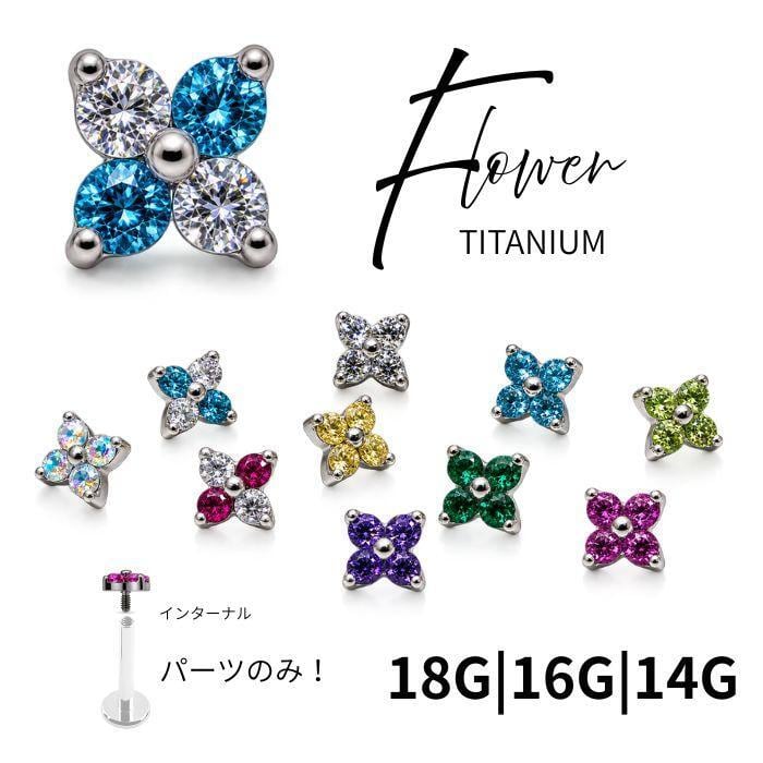 14G ANATOMETAL 限定商品/Limited Item アナトメタルのベゼルセット