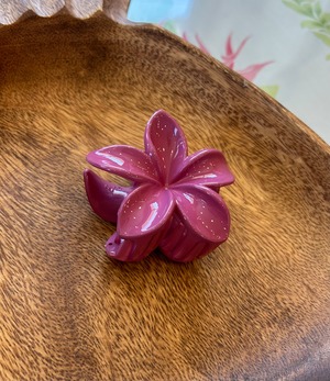 プルメリアヘアクリップ