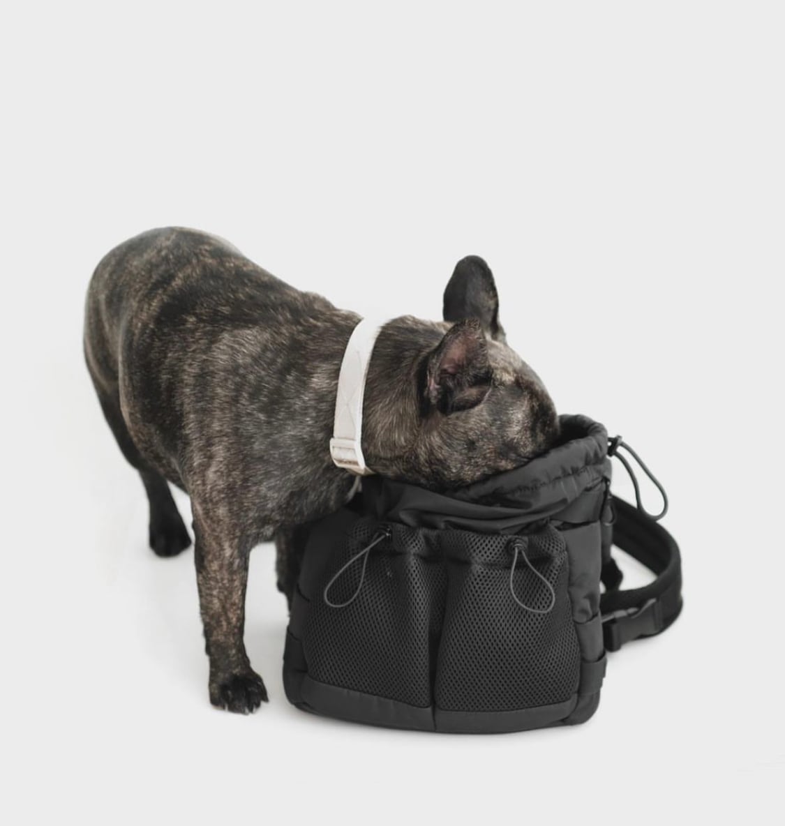 Everyday Dog Walking Bag Black | ote.