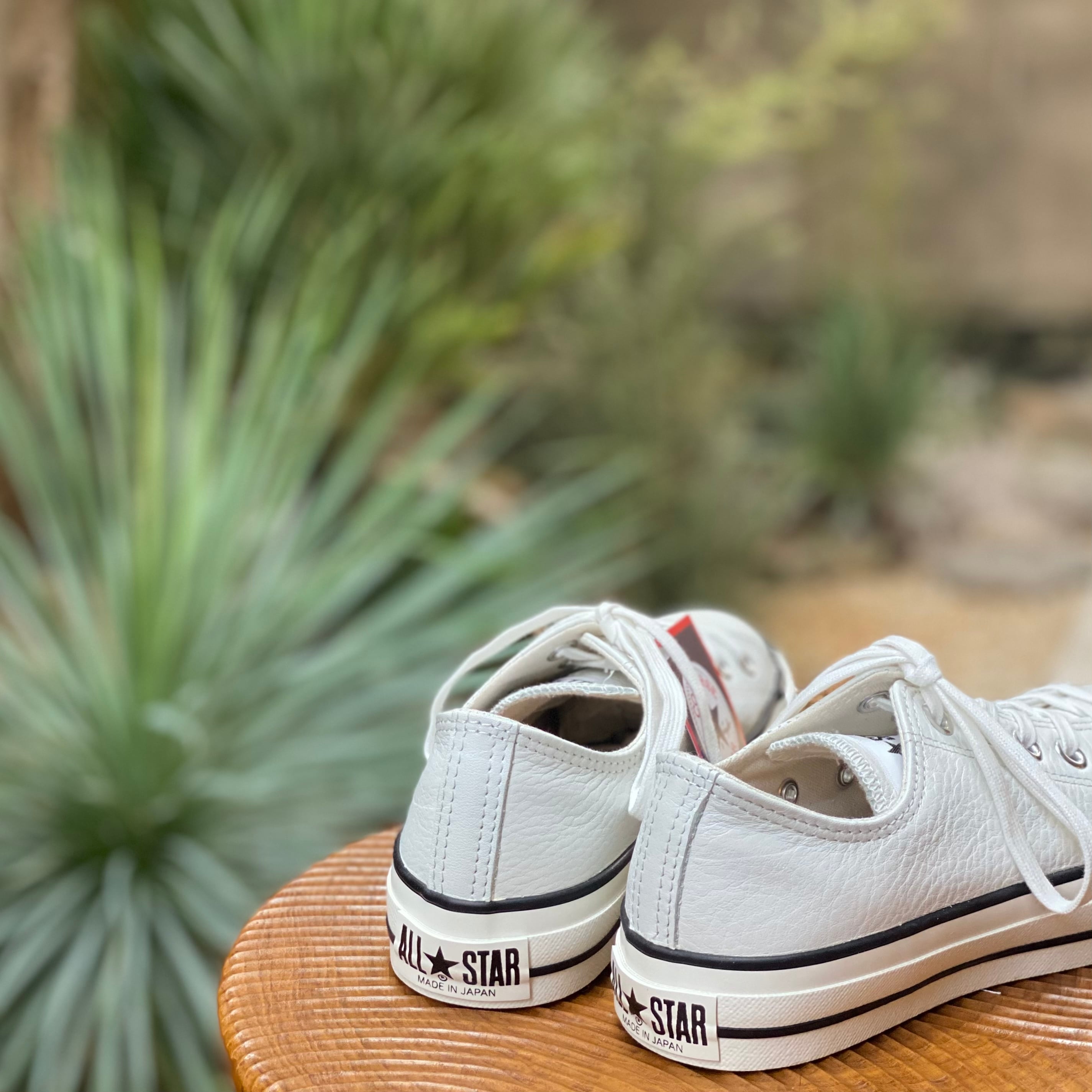 CONVERSE(コンバース)LEATHER ALL STAR J OX WHITE | Debby