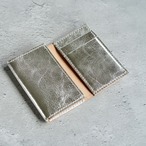 TS CARD CASE 01 SILVER