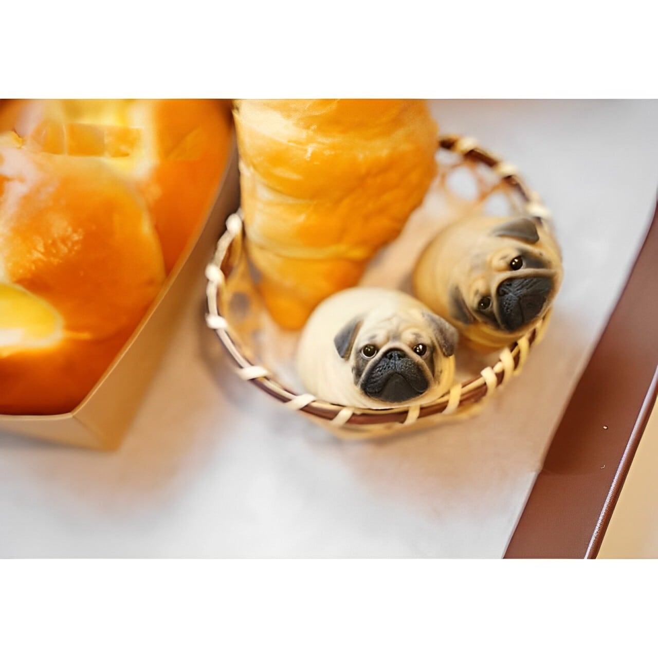 Exquisite figure -Pug Bread- plush22 | Pug shower - パグシャワー