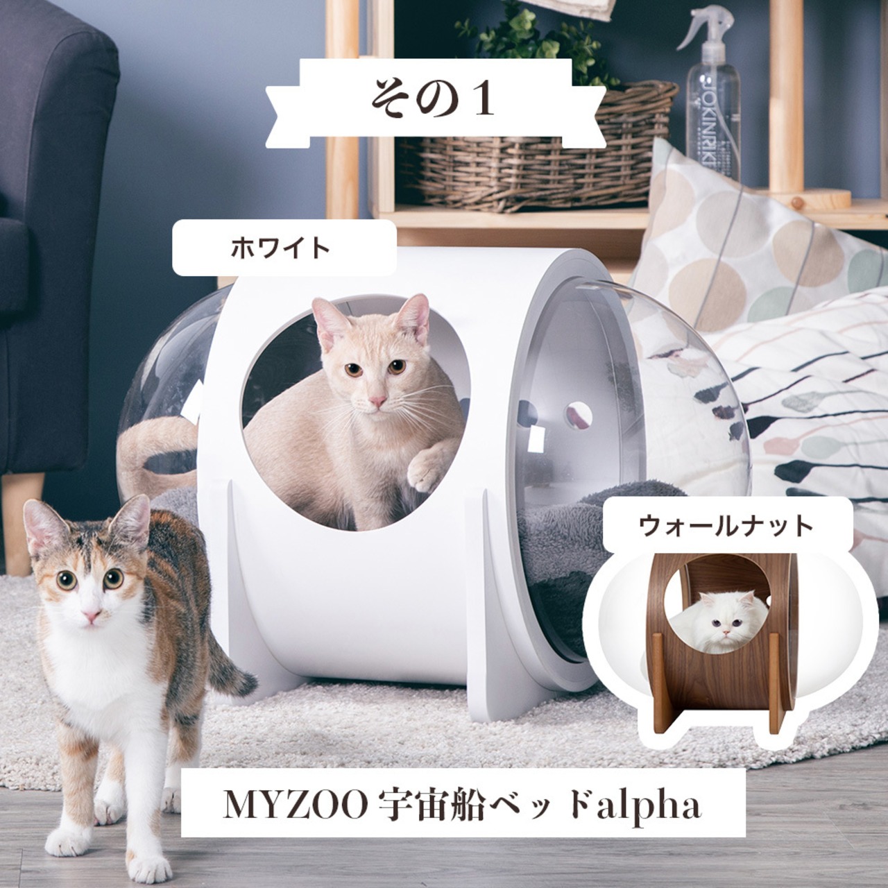 ※完売しました!【MYZOOコラボ福袋】日本で10台限定!宇宙船ベッドalpha(ホワイト)7,000円以上お得!,人気おやつ,ウェットフード