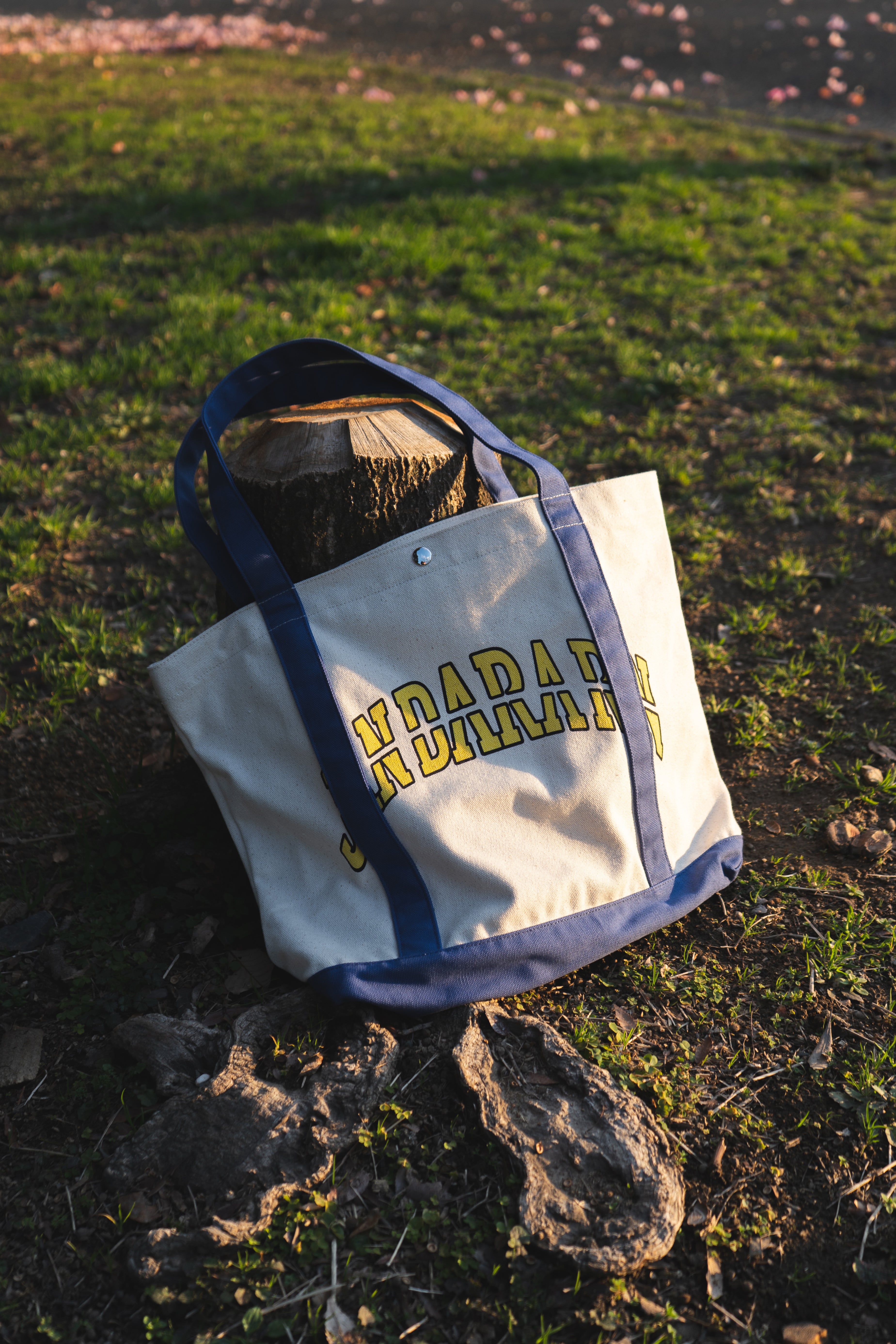 JDR.SP_CANVAS TOTE BAG（BLUE） | JAN DARA RIN