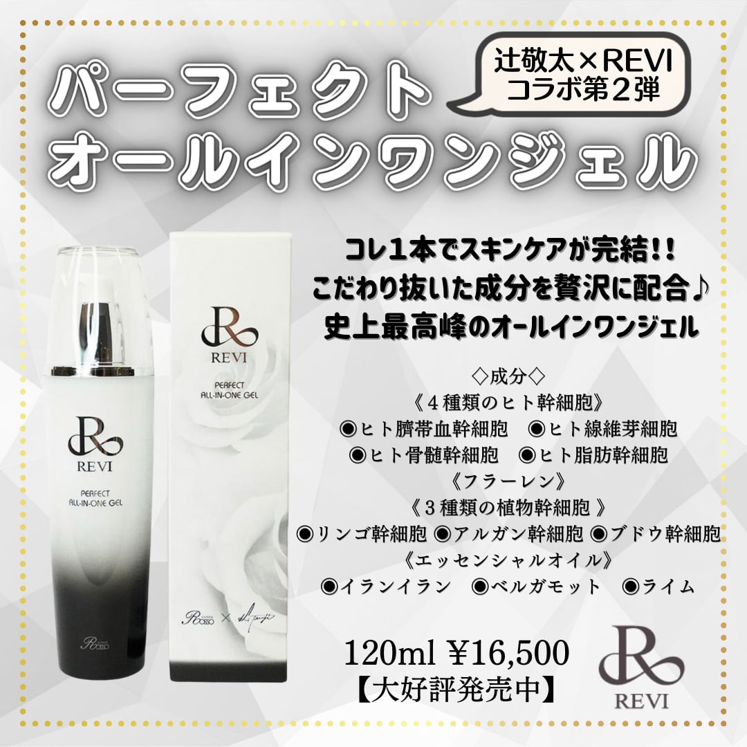 ルヴィ 2個セット パーフェクト オールインワン ジェル 120ml REVI
