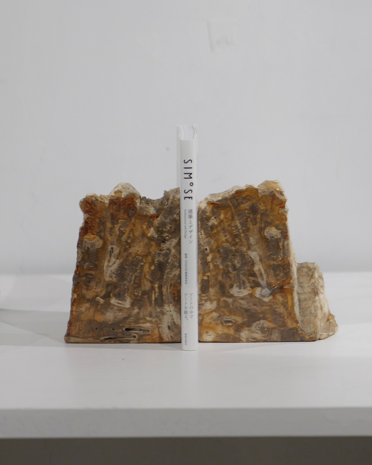 OAK Petrified Wood - Book End #007 ：Natural｜珪化木／一点もの／静かな重み