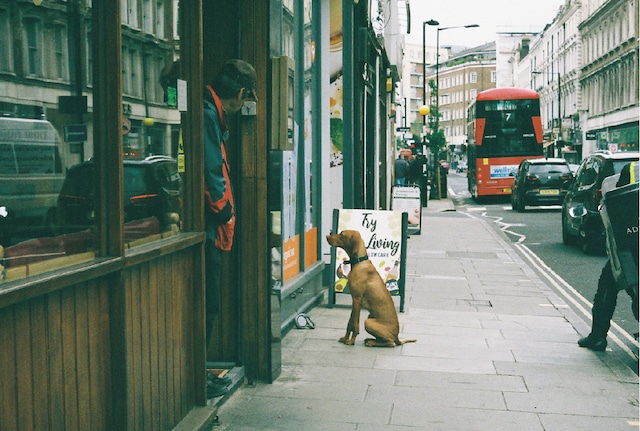 写真展『LOST IN LONDON 』ポストカードセット