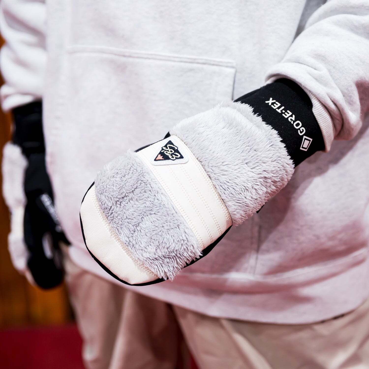 25-26 eb's スノボ 手袋 ゴアテックス GORE-TEX EXCLUSIVE エビス