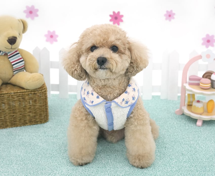 bear collar fleece vest S ~ XL 2color / 犬服 秋冬 新作 暖かい アウター ふわふわ もこもこ フリース ベスト ドッグウェア 冬 部屋着 お出かけ 小型犬 中型犬 outer18