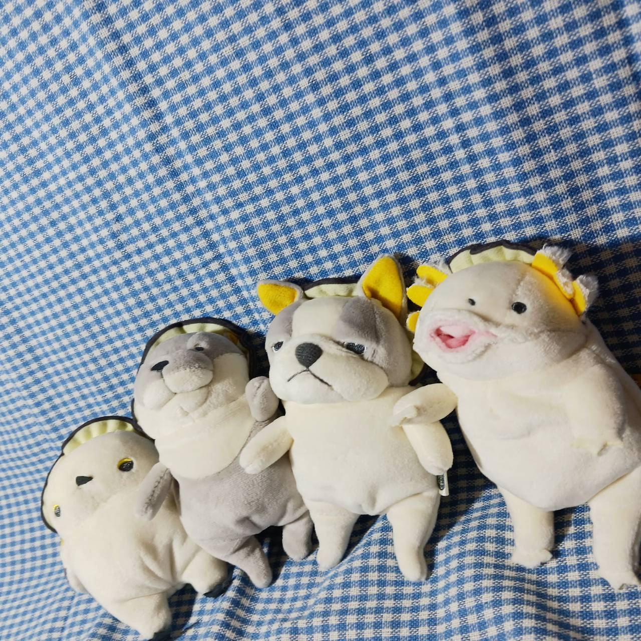 もちシリーズ 牡蠣 カワウソ | TORCH-Online Shop-
