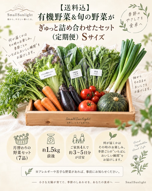 【送料込】有機野菜&旬の野菜がぎゅっと詰め合わせたセット(定期便)Sサイズ
