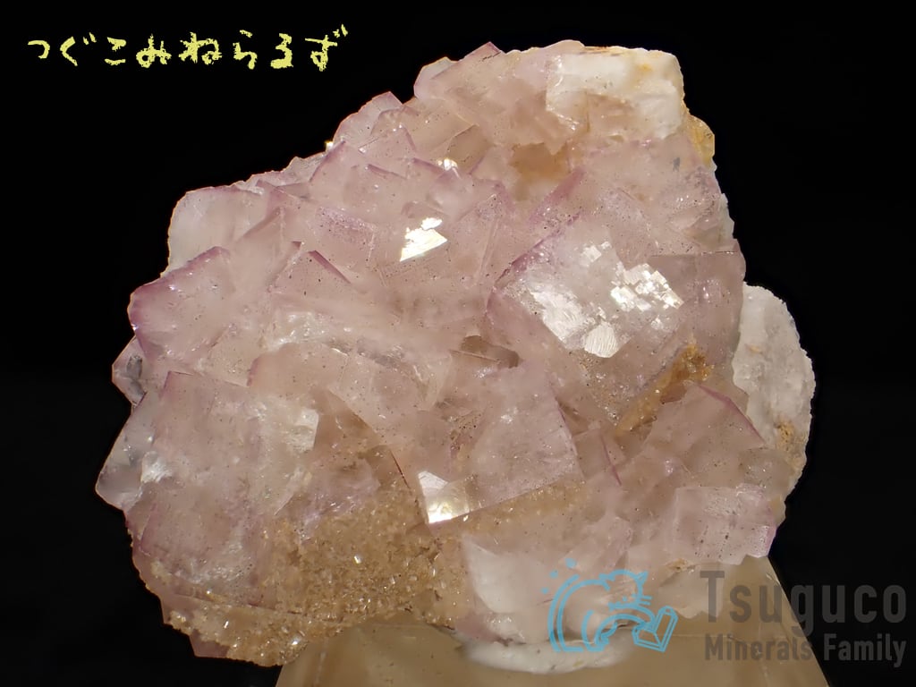 フローライト 蛍石 Fluorite イギリス TM-0051