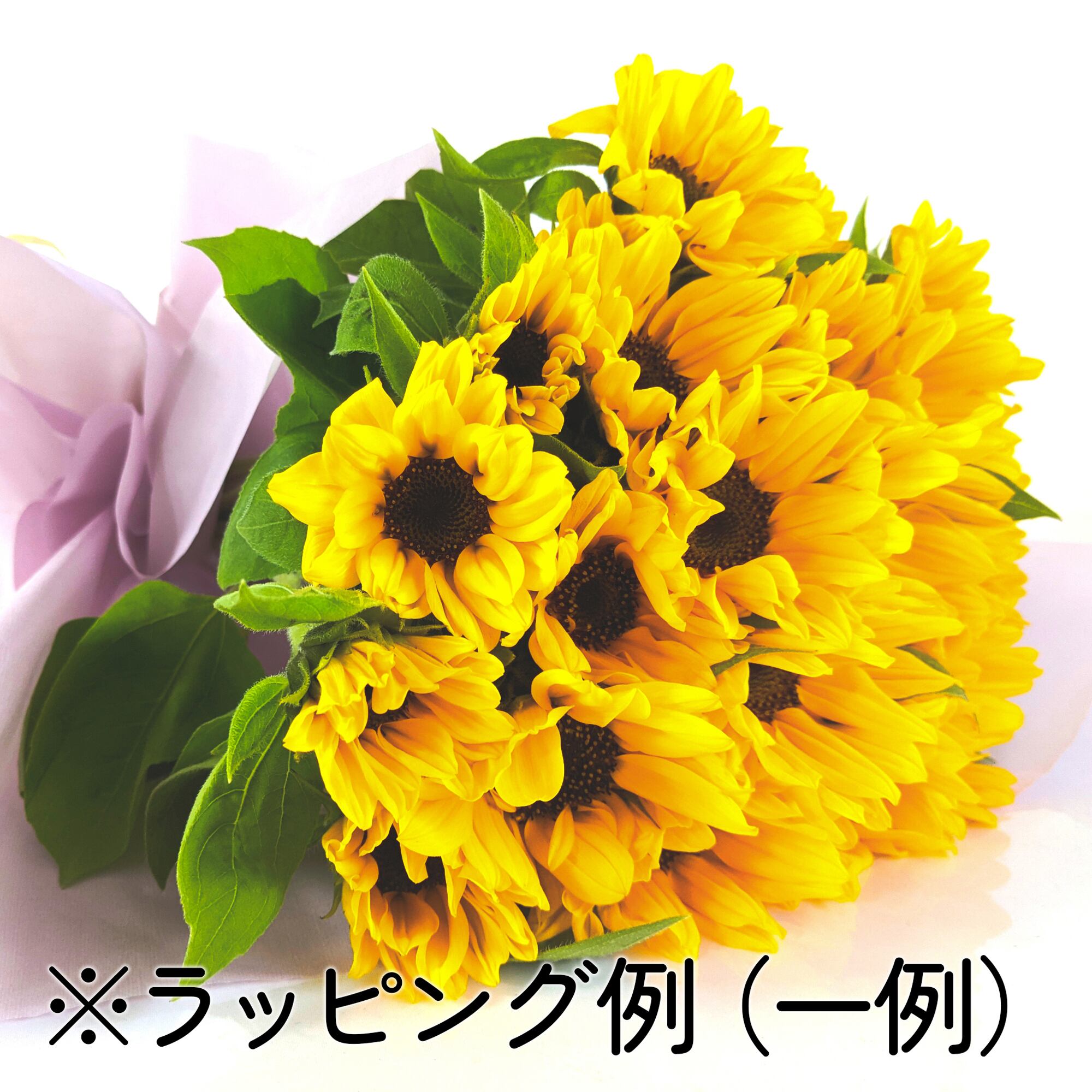 ひまわり商品 y-hanabishi_hnb-v25053