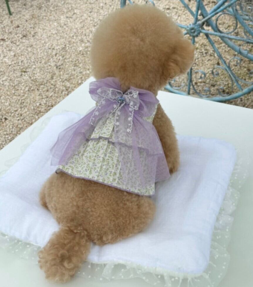 L/即納【lebooleboo】Violet  Ribbon Dress