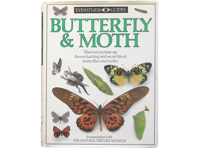 蝶　蛾　図鑑　洋書　バタフライ　Butterflies Moths 英語洋書】 蝶と蛾の世界 図鑑 『The world of butterflies and moths