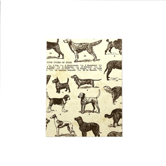 【デザインペーパーシール】ドッグ〜アニマルモチーフ