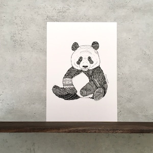 『パンダ』ポスターのみ　B5