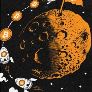 Tシャツ　BTC　Bitcoin（moon）　　BTC01-002
