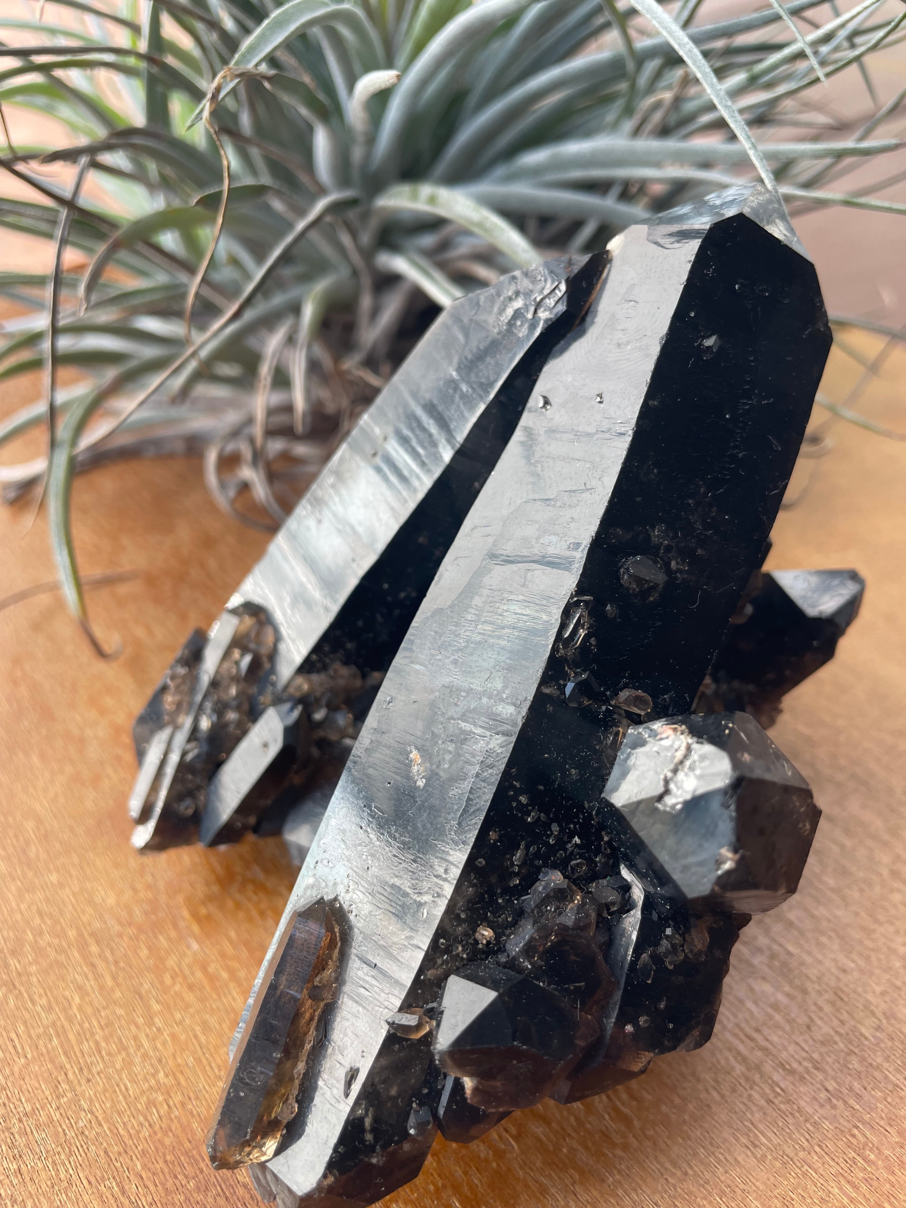 Pino ふれっしゅじぇむ