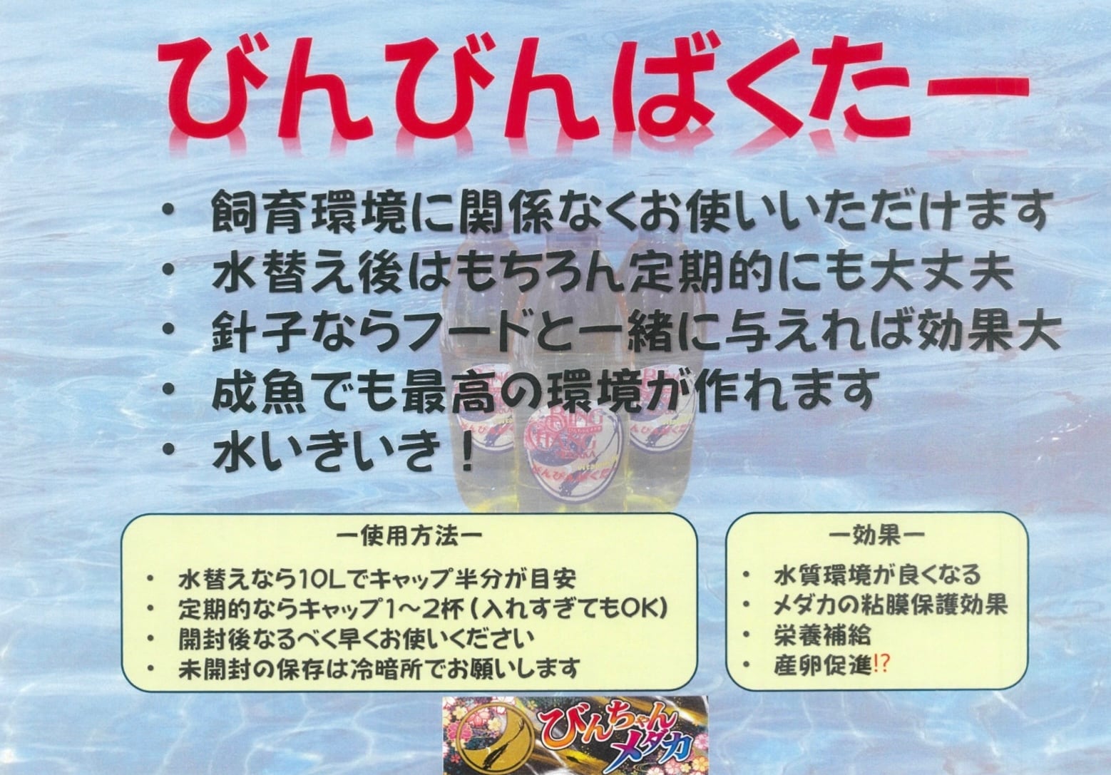 びんびんばくたー 初出品！500ml | メダカの親父