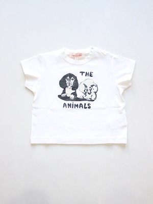 The Animals Observatory ROOSTER BABY T-SHIRT White Dogs