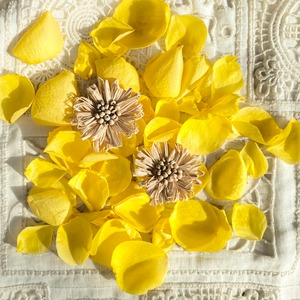 Liberty sun flower // oatmeal beige