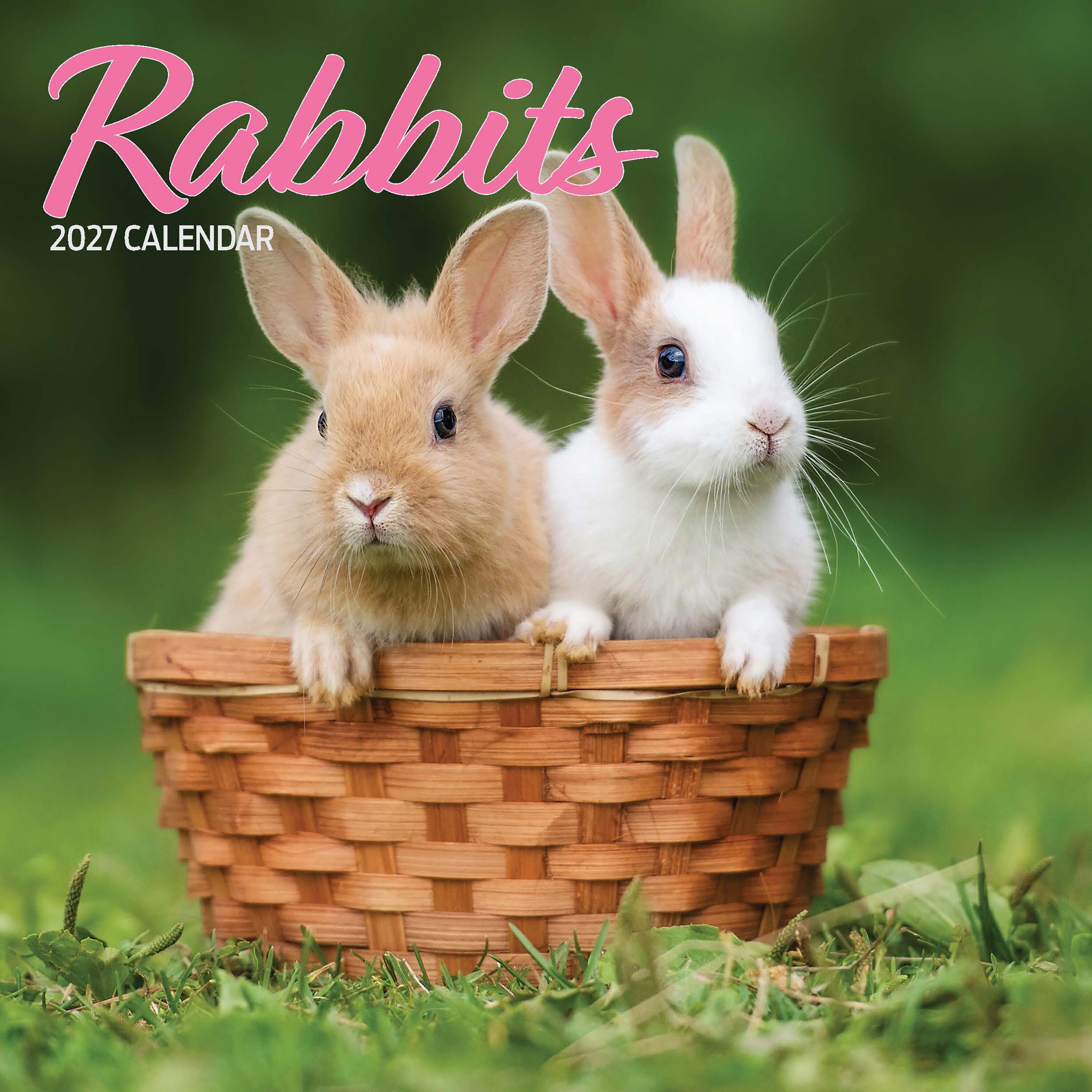 【2027年版】英国製カレンダー【Rabbits】 2027年版