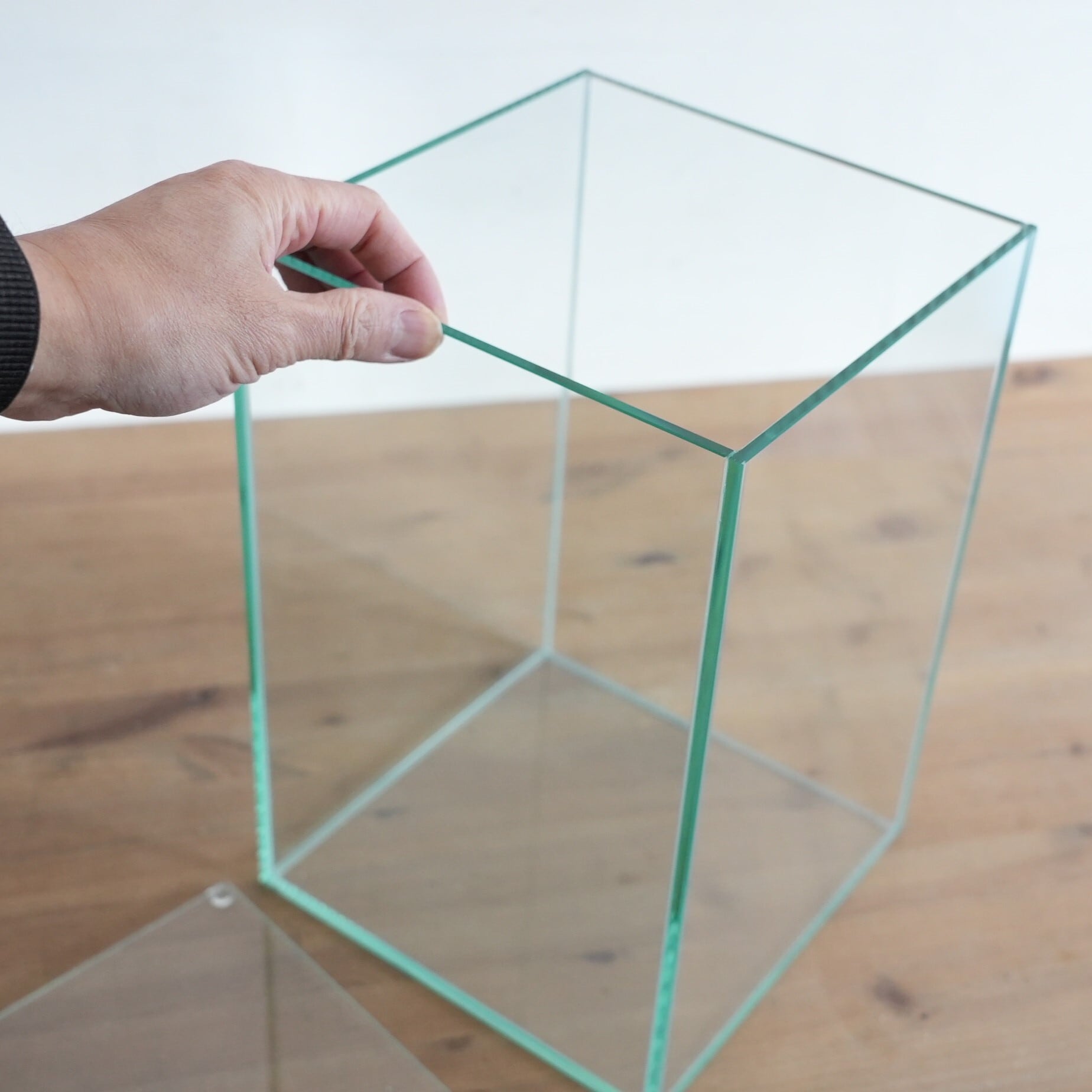 ガラス容器】 苔テラリウム用 20cmガラス水槽High （200x200xh300mm