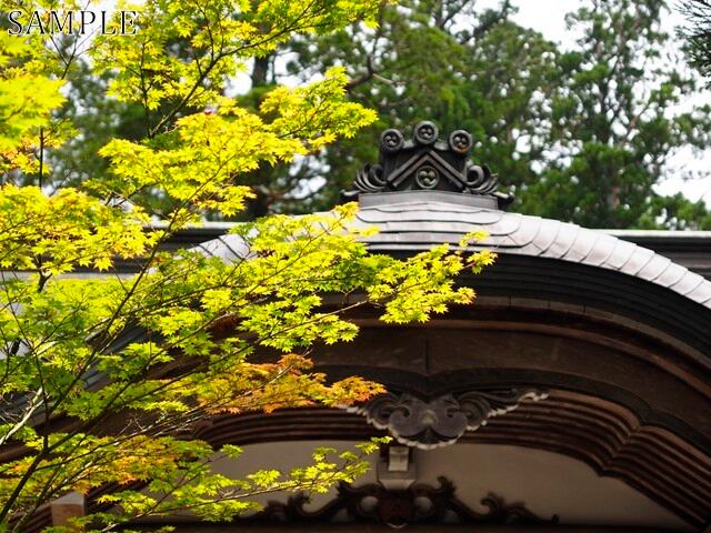 高野山