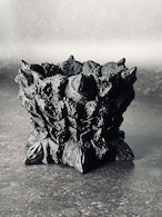 怪獣(標準)sizeL