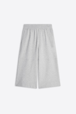 DRIES VAN NOTEN【HARKER BIS 3611 M.K.PANTS -GREY MELANGE-】