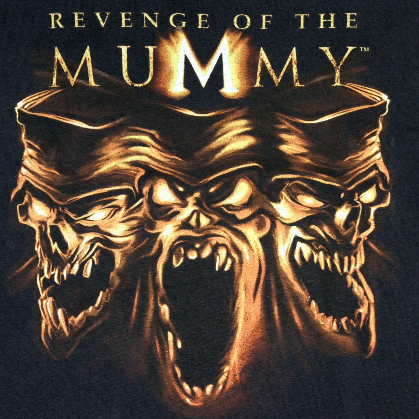 USED【L】Vintage 00s Revenge of the Mummy Tee / ©Universal Studios | Jubilee  Vintage powered by BASE