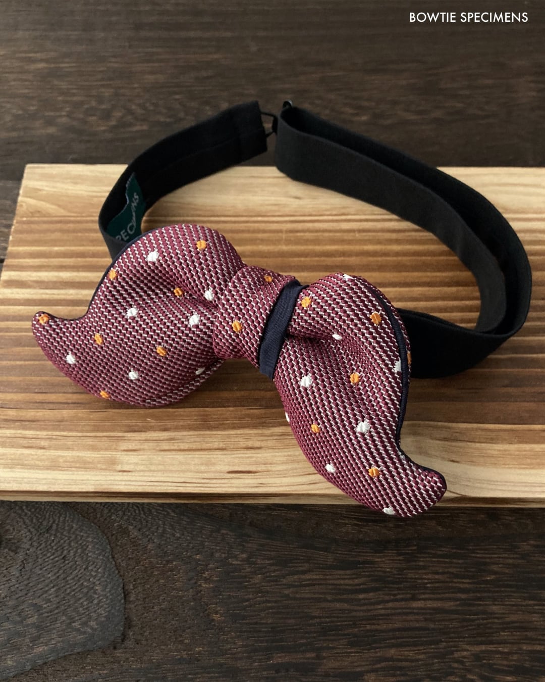 絹/シルク | 蝶ネクタイ ブランド BOWTIE SPECIMENS