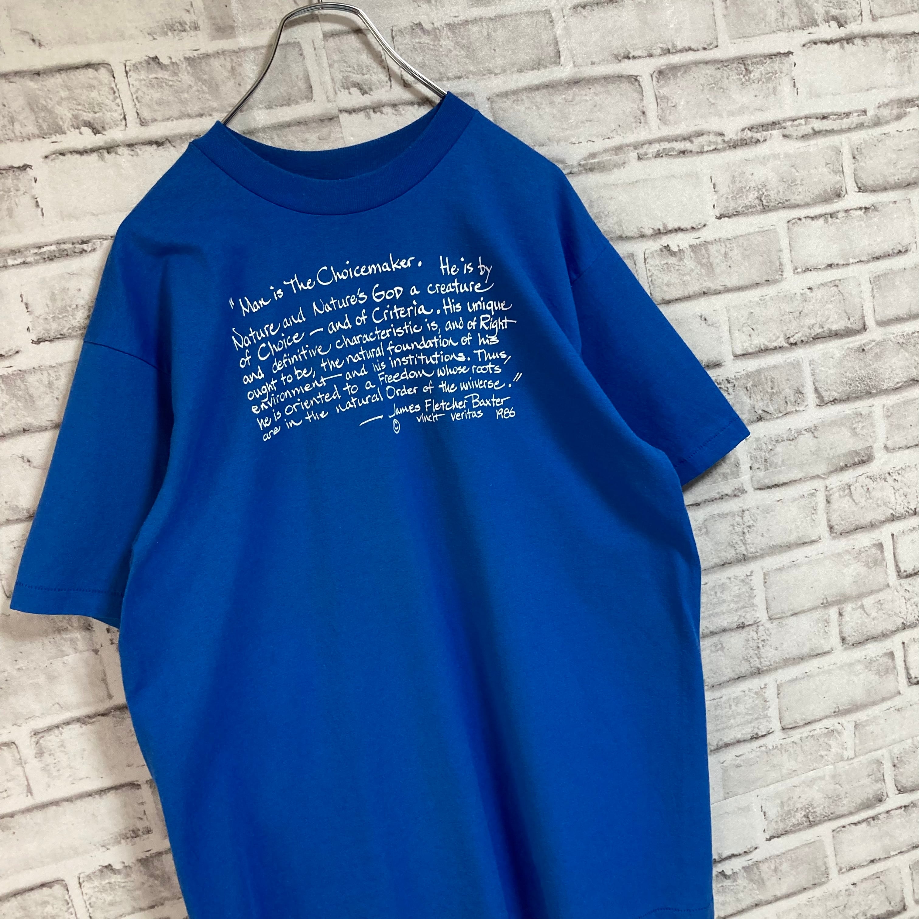 Hanes】S/S Tee L Made in USA 80s vintage ヘインズ バックプリント T
