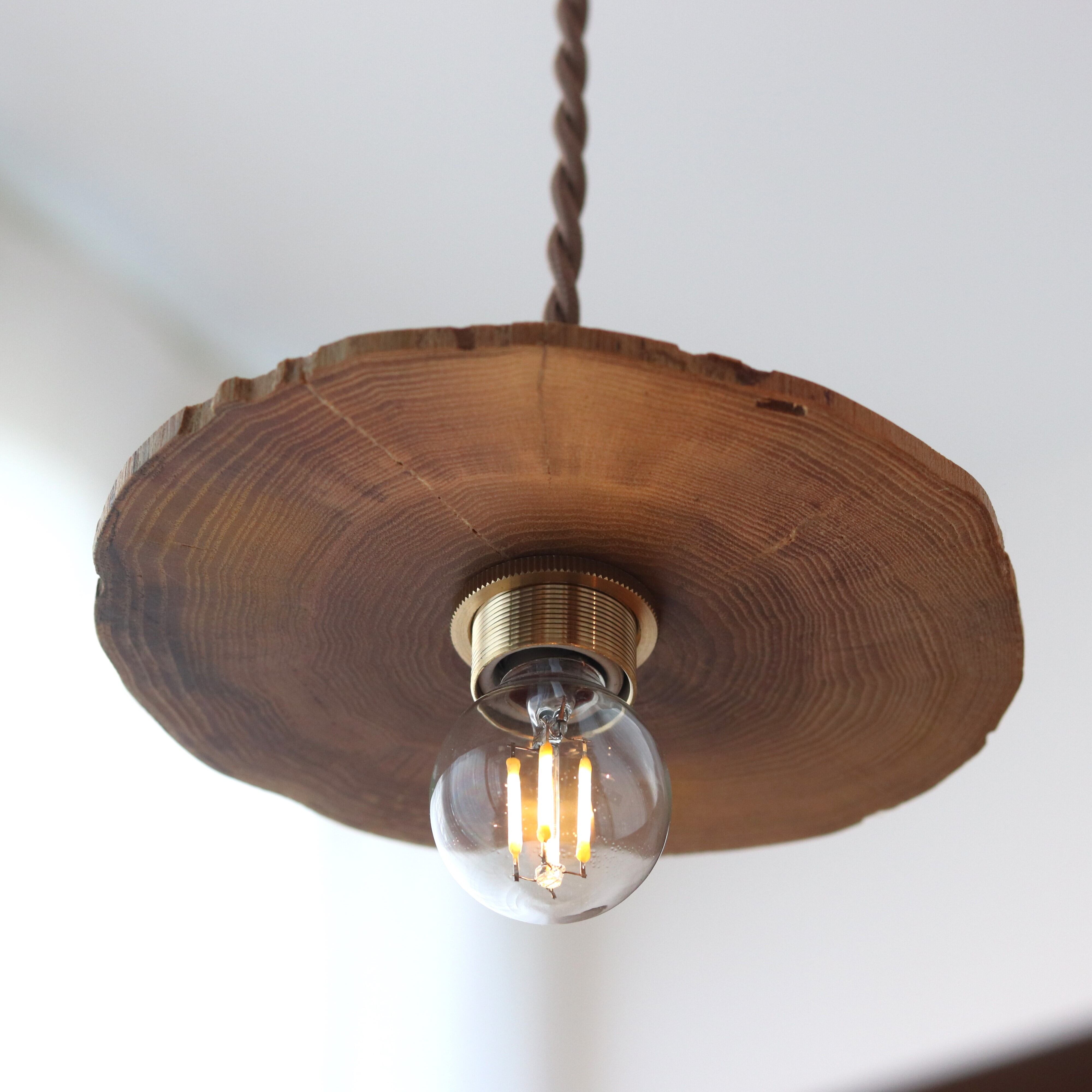 照明】天然木のペンダントライト/ノグルミ | ジーフラットインテリア