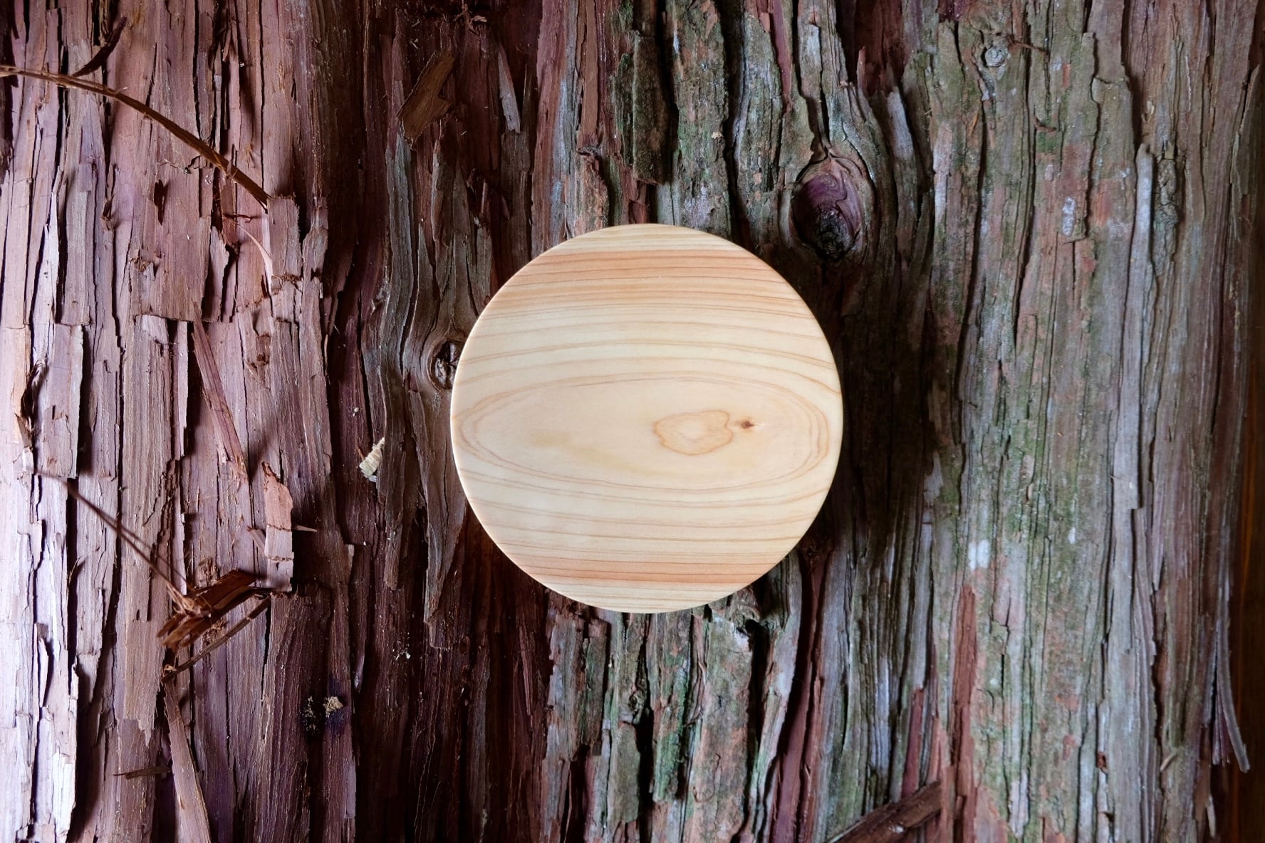 土佐ヒノキ皿 5寸(直径15cm)