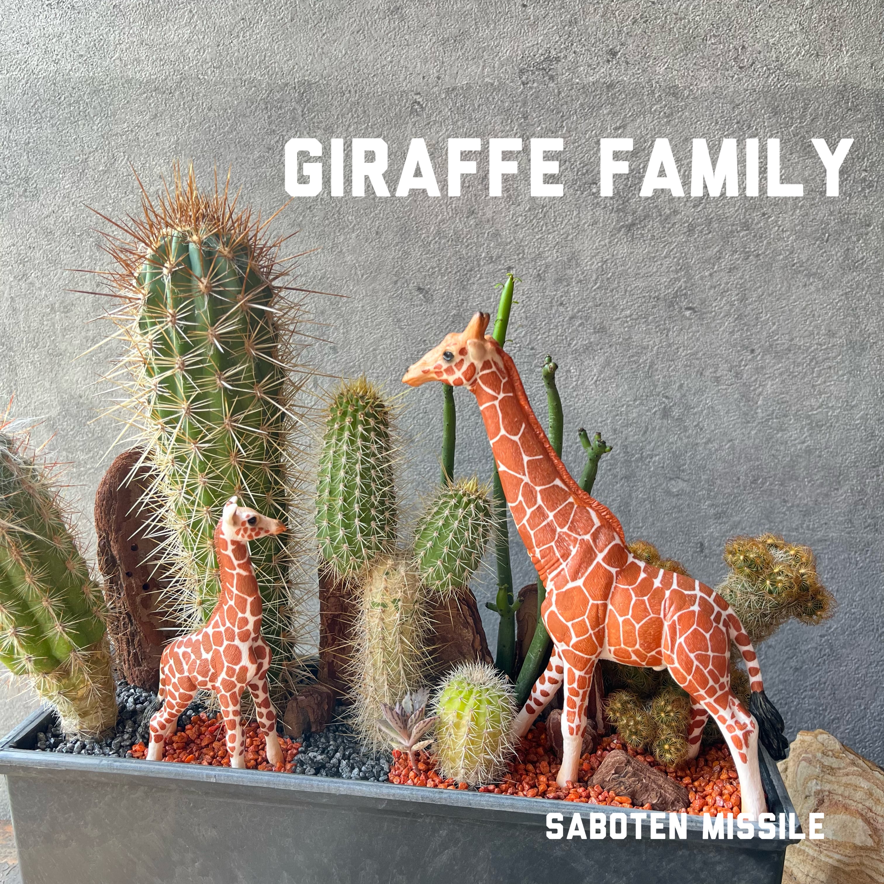 Giraffe Family