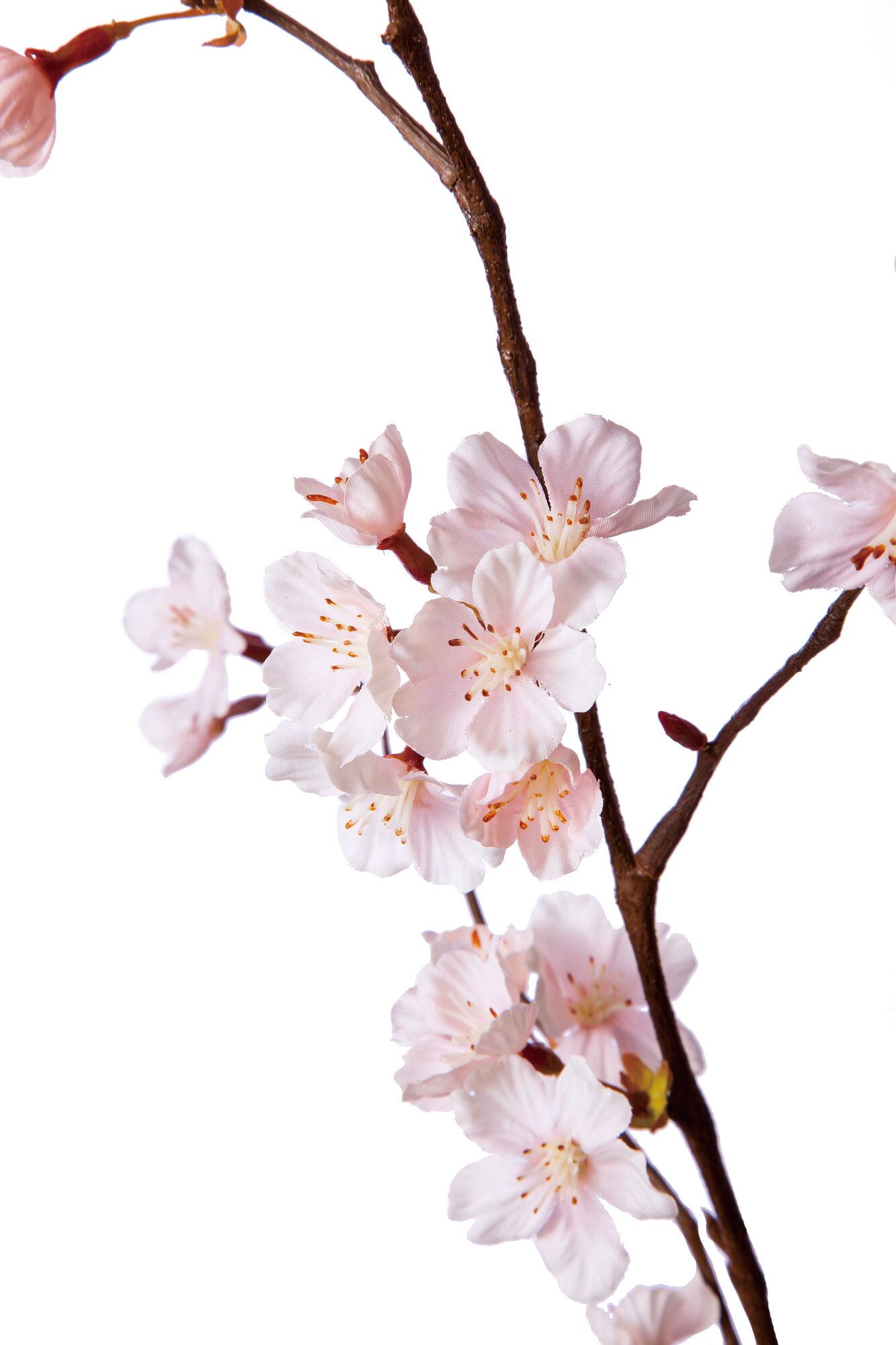 マンカイザクラ　Ｐ　　FS-7861P　4961823674440　造花（アーティフィシャルフラワー） > シーズン造花