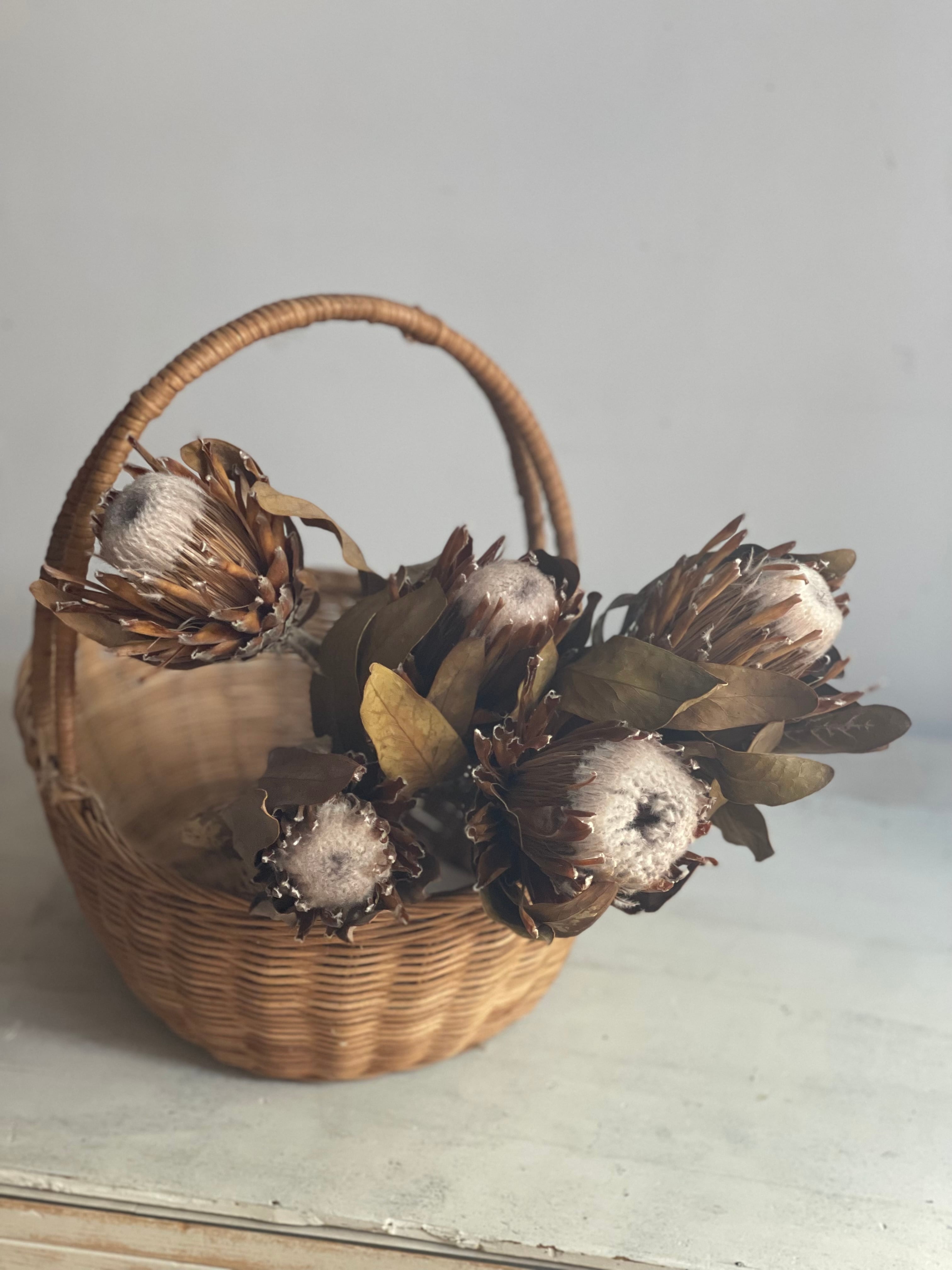 専用＊迎春2025 プロテア＆コットン 正月飾り(ドライ) 【公式通販】