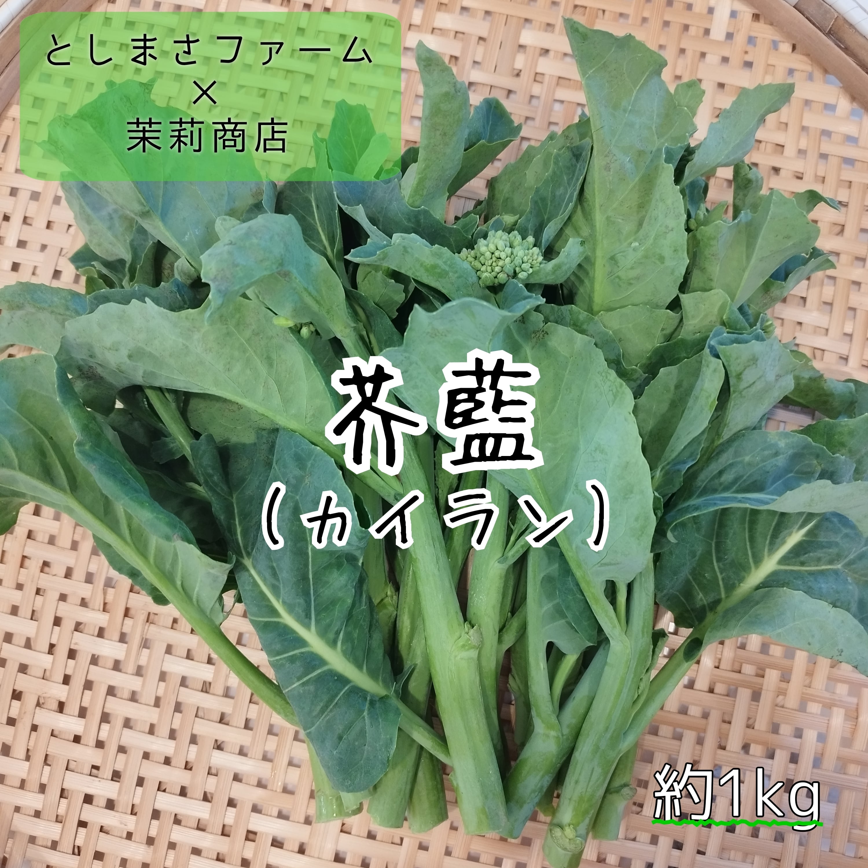 紅ひゆな(红苋菜)10kg 業務用 長野県産 ※送料別 | 茉莉商店