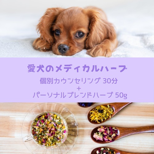 【個別】愛犬のメディカルハーブ カウンセリング+パーソナルブレンドハーブ50g