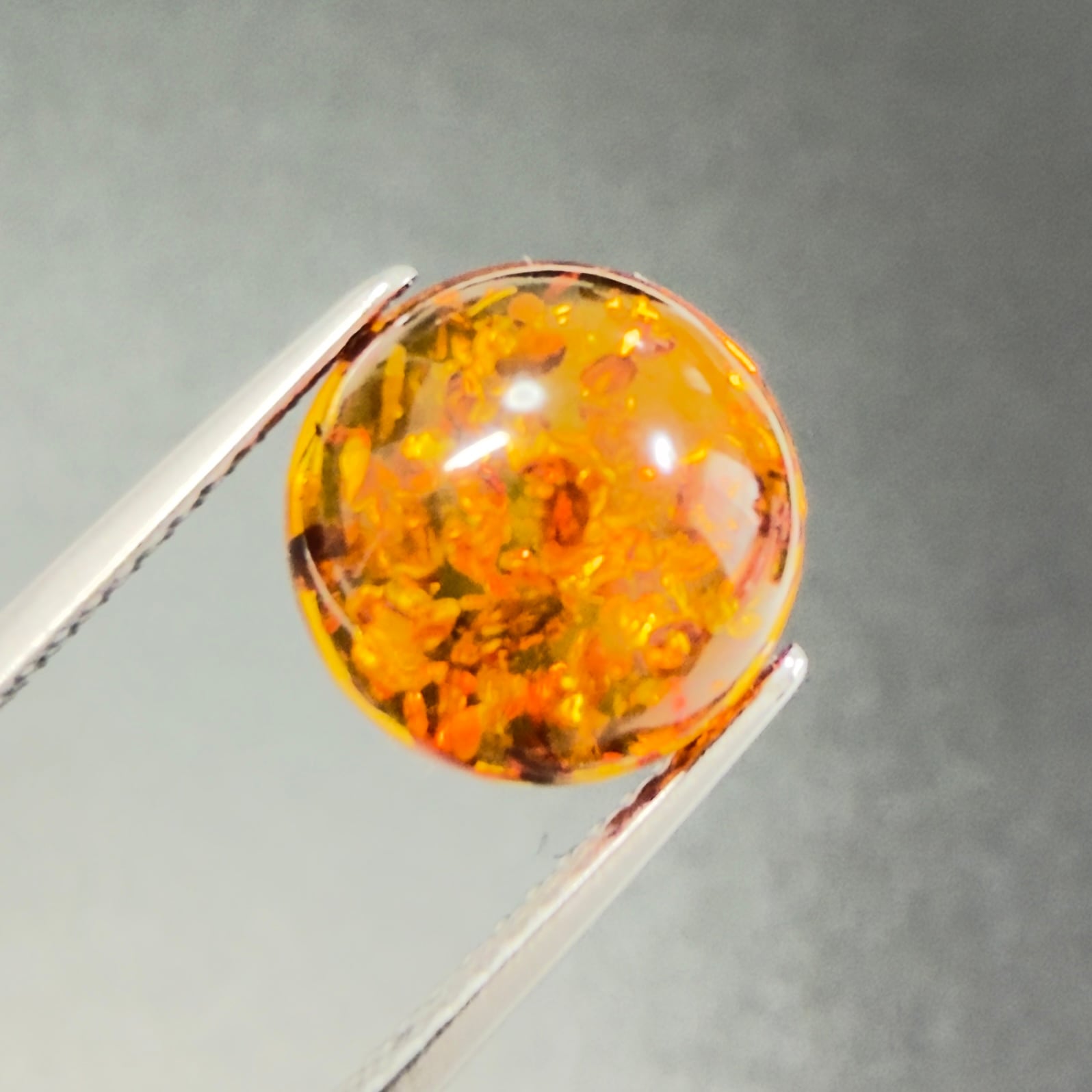 琥珀　レア品　ポーランド 琥珀】 ルース ポーランド産 1.46ct | たからいしルース オンライン
