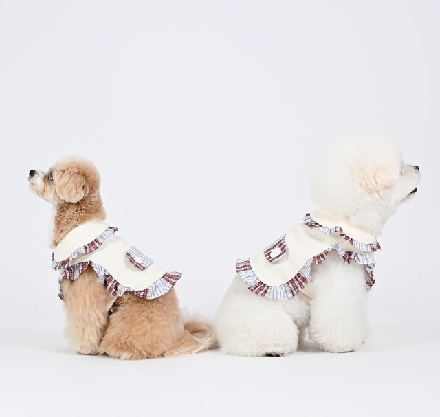 足を通さないウェア ‐ (CREAM)