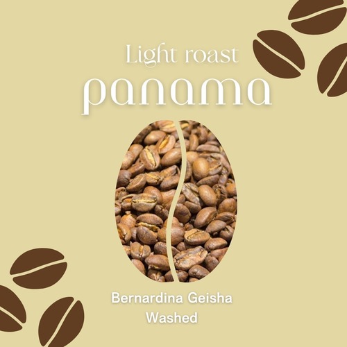 【パナマ】Bernardina Geisha Washed｜Light roast-15g