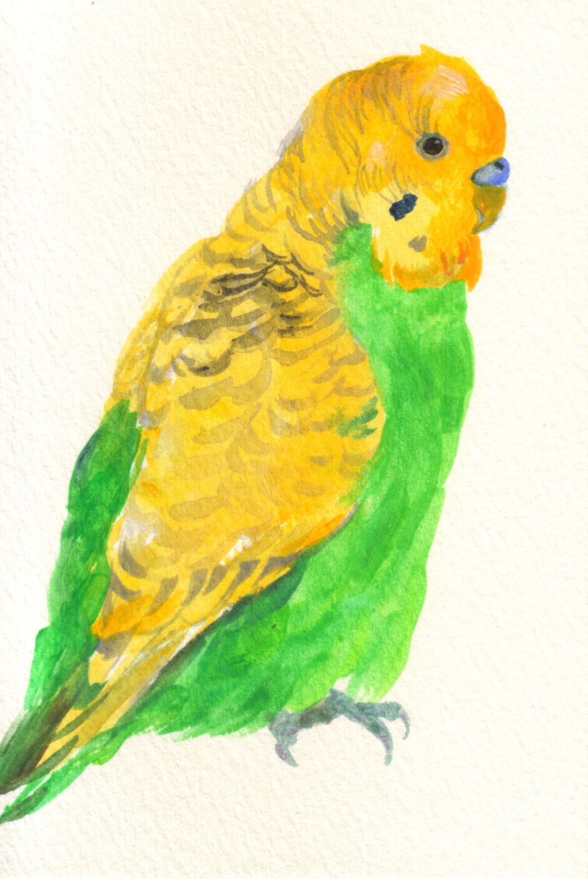 drawings