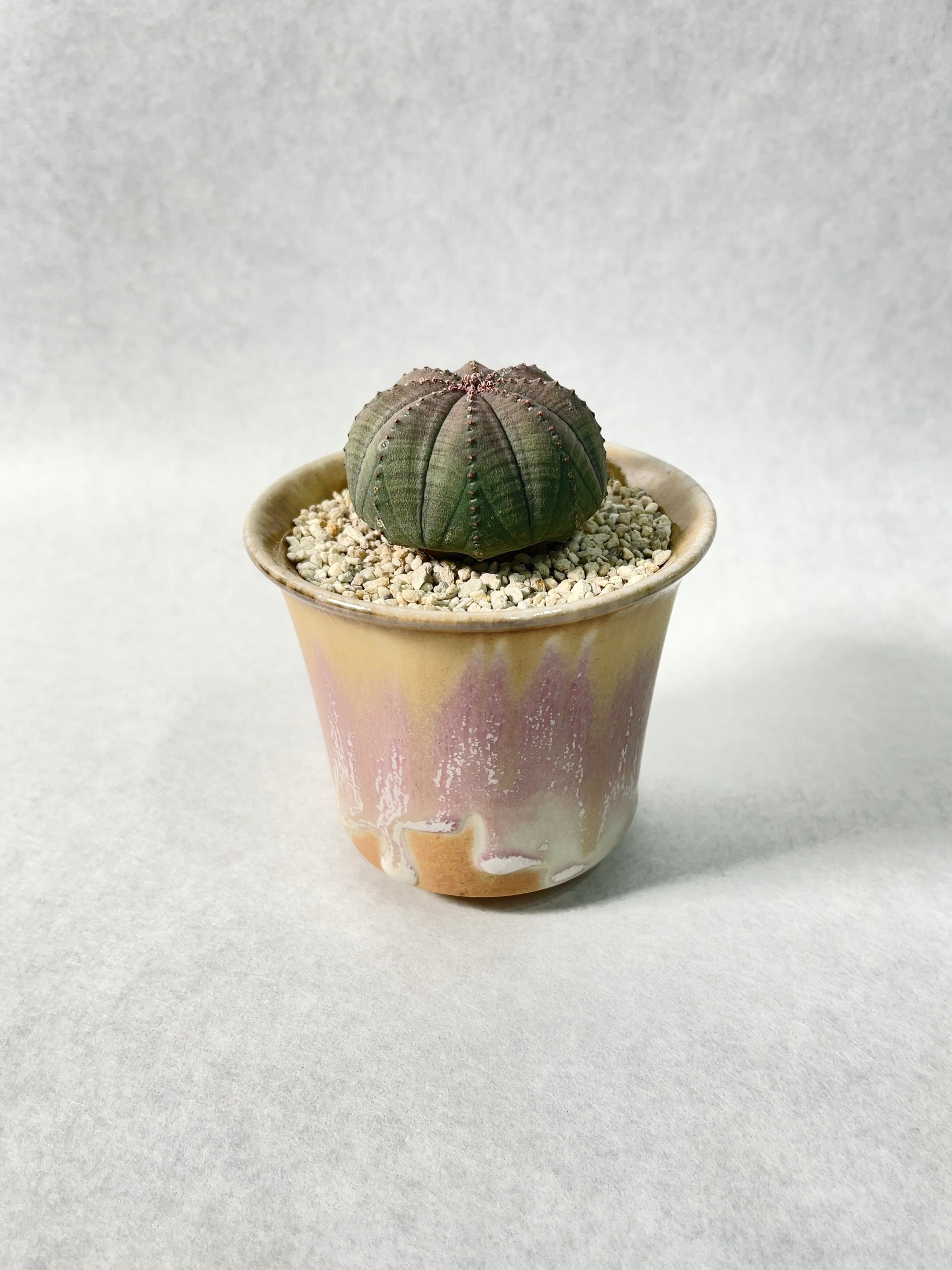 カタチ製作所　植木鉢 カタチ製作所 植木鉢 【公式通販】