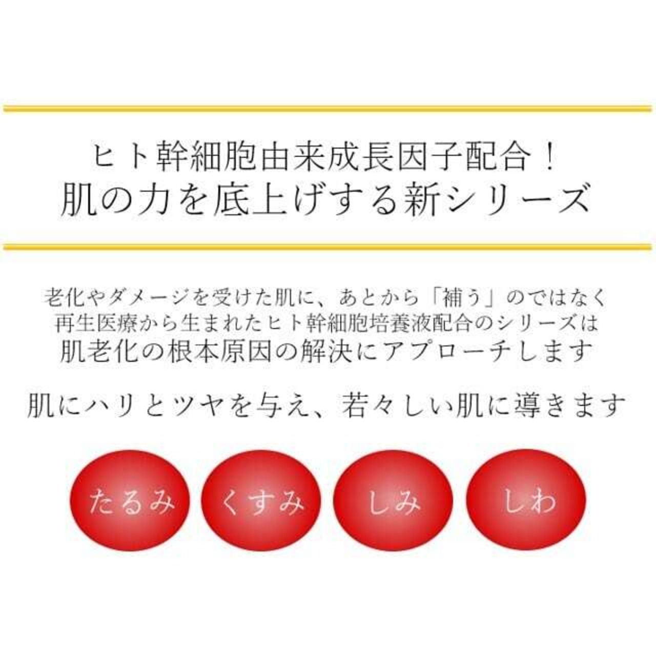 渋谷国際皮膚科医院コラボ商材【ヒト幹細胞培養液配合】LilyエンリッチSCローション