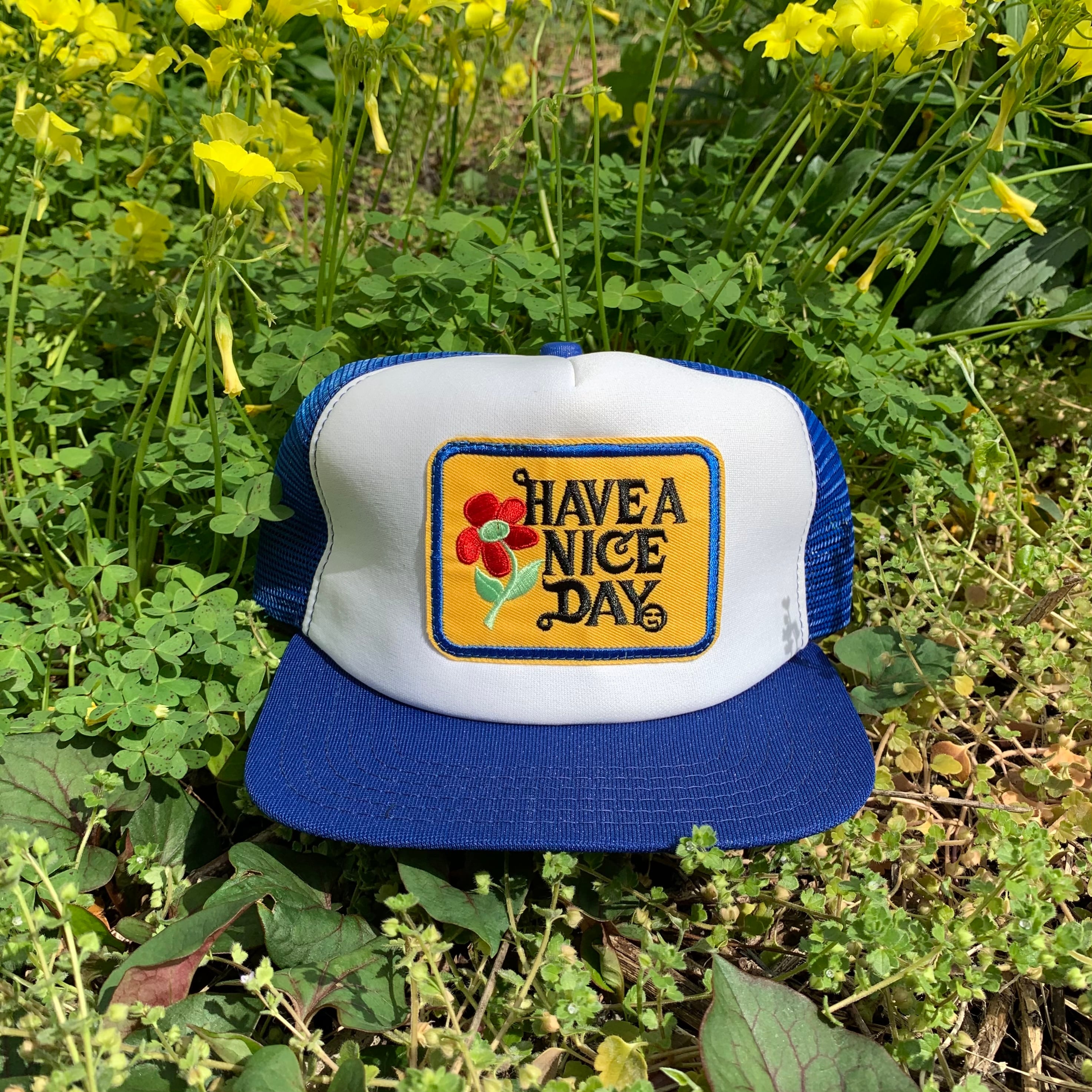 5a970654a49b459b421f7f519e23b3